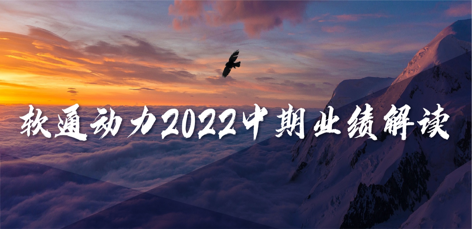 hl8¼2022ҵʵΪӪȹһŻӪҵṹ