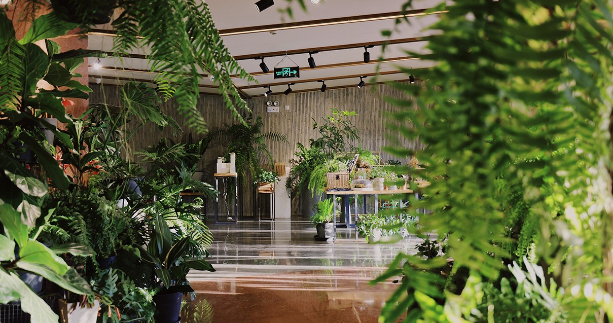 ����ɭ����ballbet�������������С��