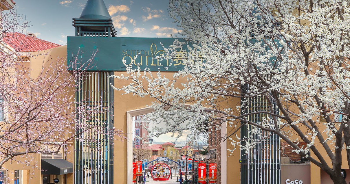 ����ɭ����ballbet��������������ɽС��