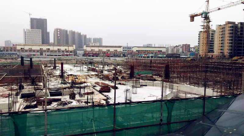 ballbet������(�й�)����ɭ����