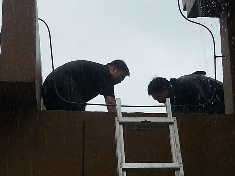 ballbet������(�й�)����ɭ����