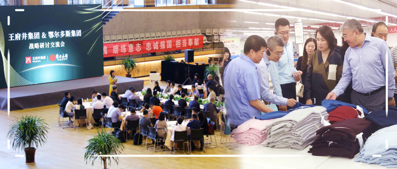 ballbet������(�й�)����ɭ����