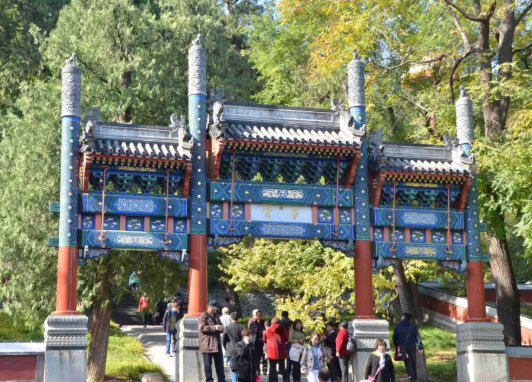 ballbet������(�й�)����ɭ����