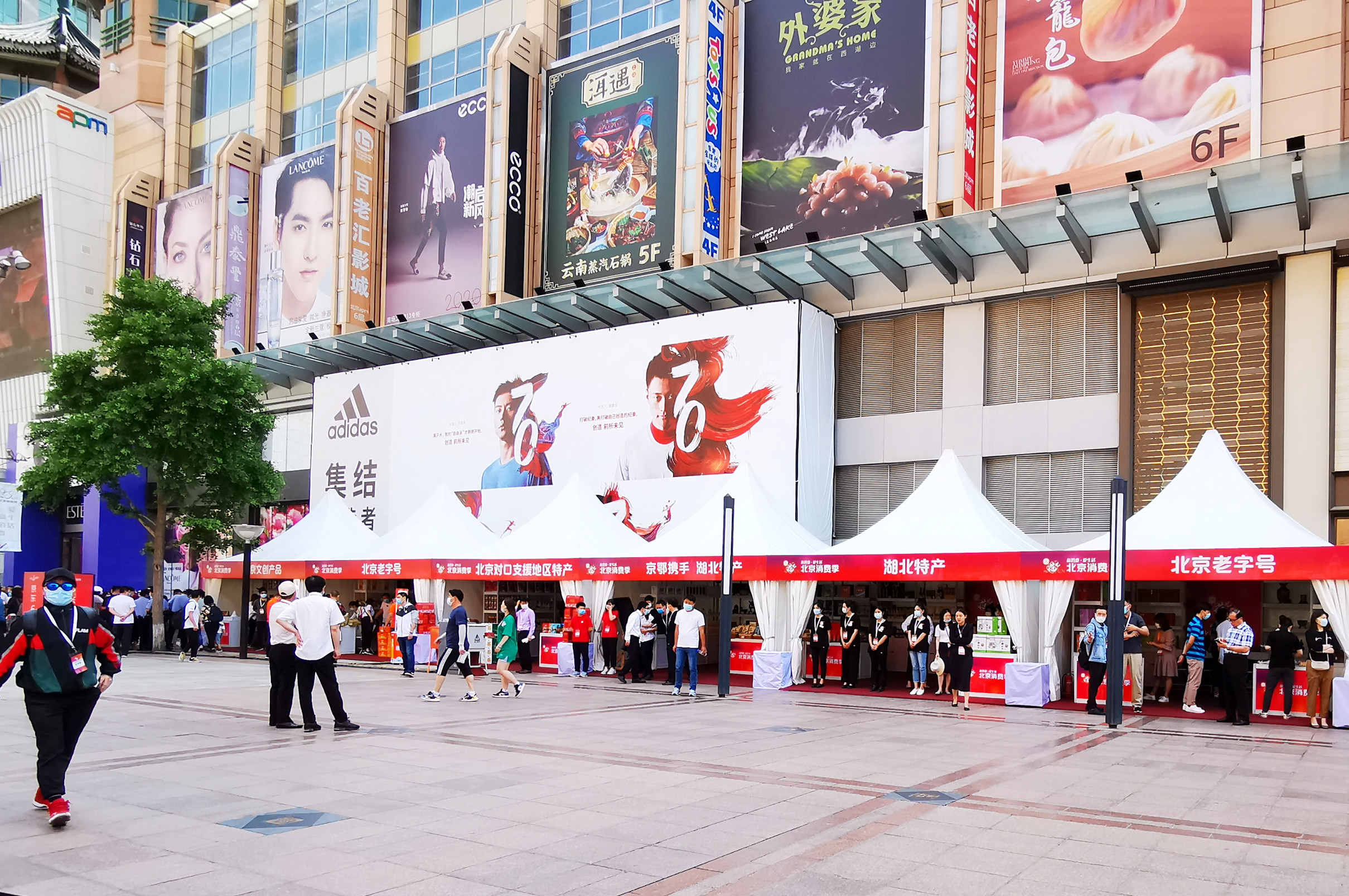 ballbet������(�й�)����ɭ����