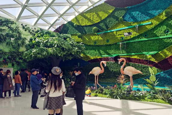 ballbet������(�й�)����ɭ����