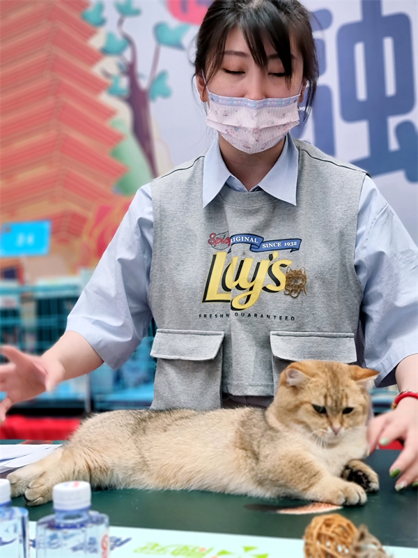 ballbet������(�й�)����ɭ����