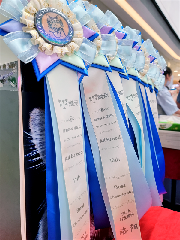 ballbet������(�й�)����ɭ����