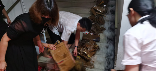 ballbet������(�й�)����ɭ����