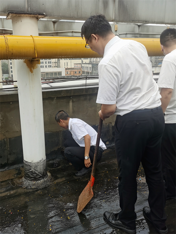 ballbet������(�й�)����ɭ����