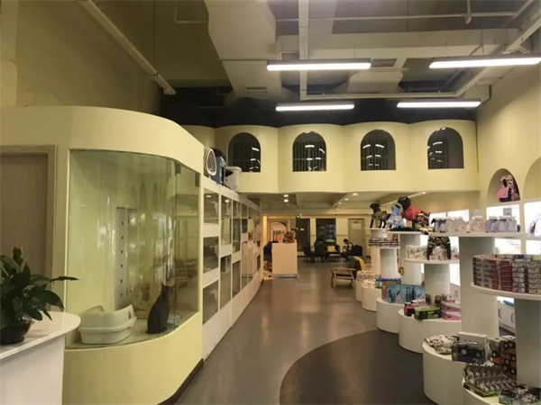 ballbet������(�й�)����ɭ����