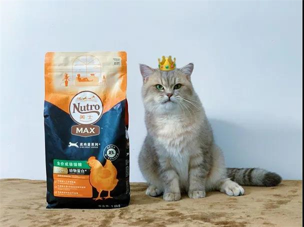 ballbet������(�й�)����ɭ����