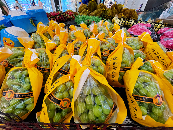 ballbet������(�й�)����ɭ����