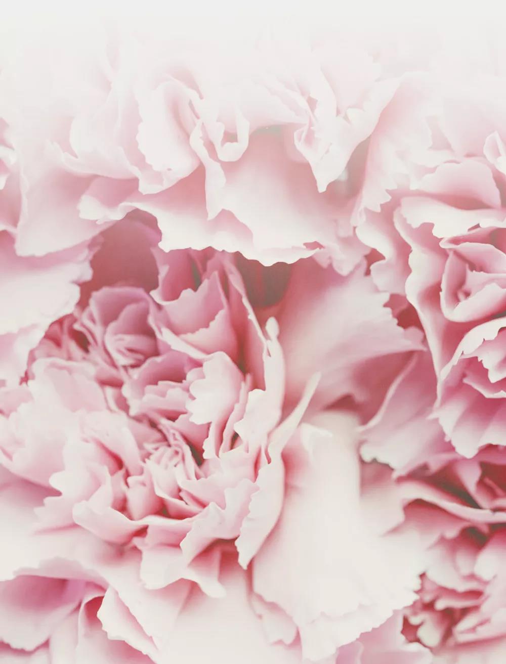 ballbet������(�й�)����ɭ����