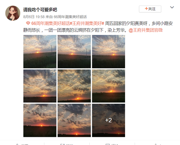 ballbet������(�й�)����ɭ����