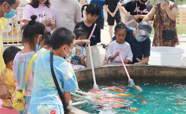 ballbet������(�й�)����ɭ����