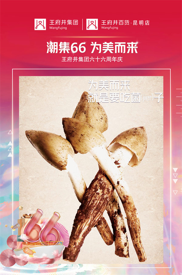 ballbet������(�й�)����ɭ����