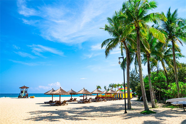 ballbet������(�й�)����ɭ����