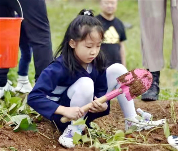 ballbet������(�й�)����ɭ����