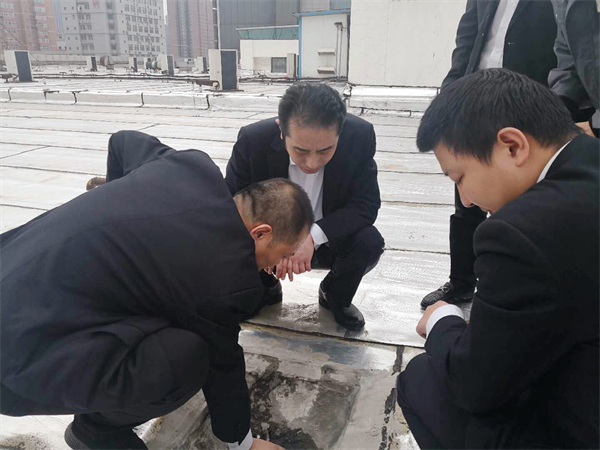 ballbet������(�й�)����ɭ����