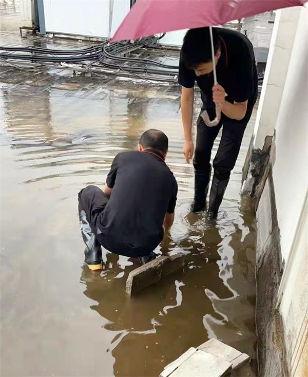 ballbet������(�й�)����ɭ����