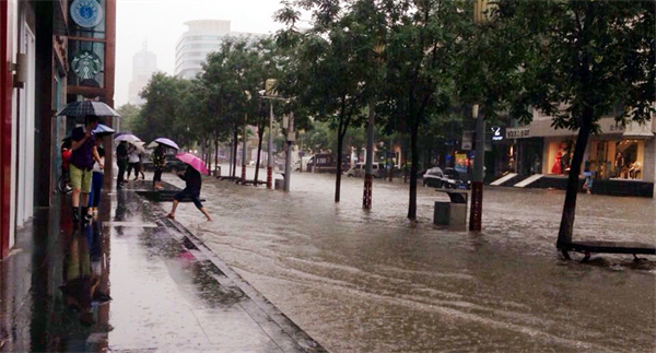 ballbet������(�й�)����ɭ����