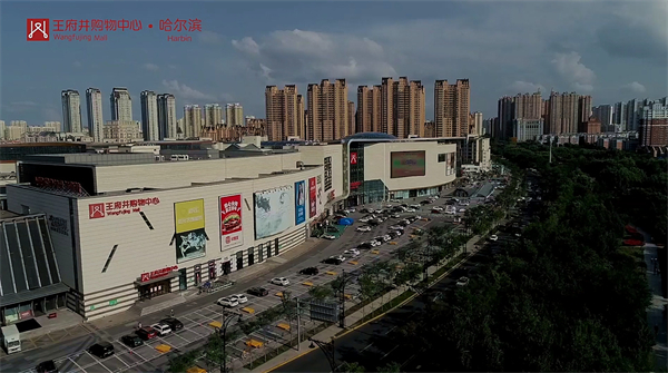 ballbet������(�й�)����ɭ����