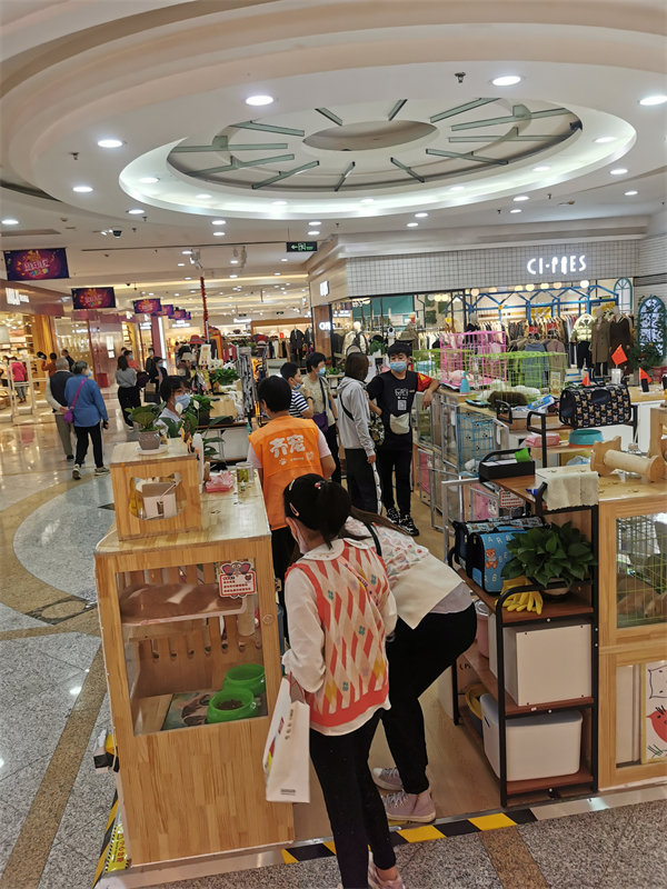 ballbet������(�й�)����ɭ����