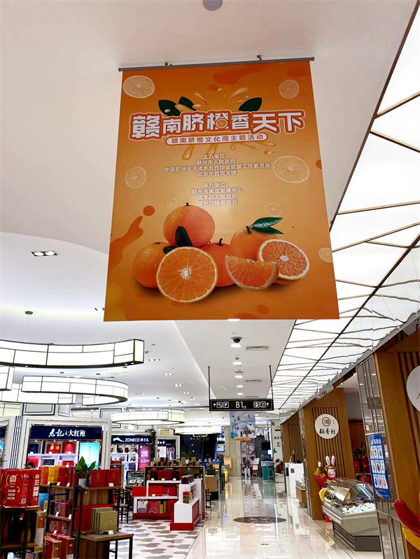 ballbet������(�й�)����ɭ����