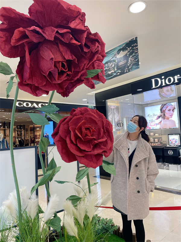 ballbet������(�й�)����ɭ����