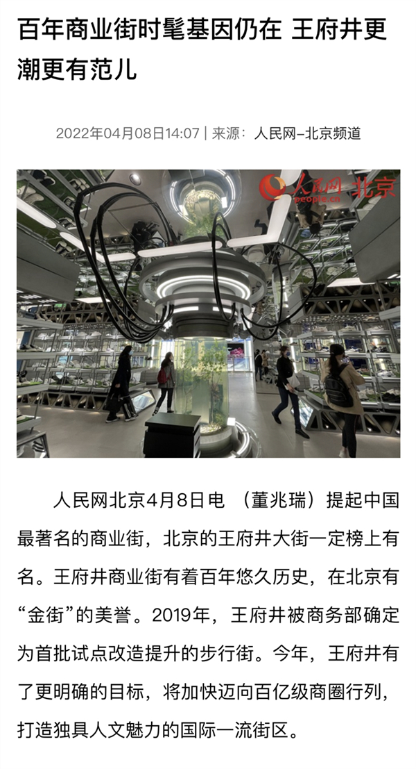 ballbet������(�й�)����ɭ����