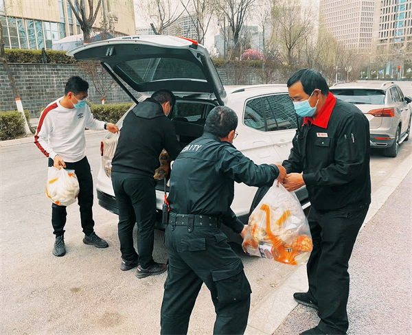 ballbet������(�й�)����ɭ����