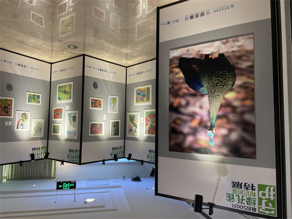 ballbet������(�й�)����ɭ����