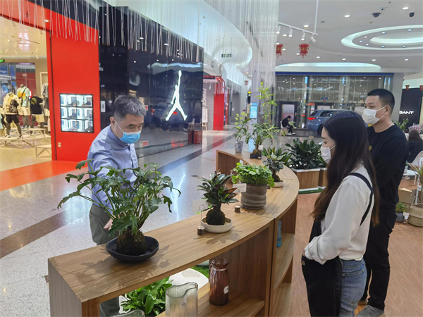 ballbet������(�й�)����ɭ����