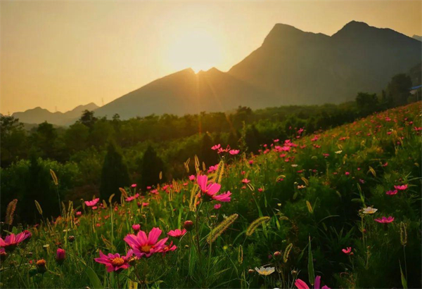 ballbet������(�й�)����ɭ����