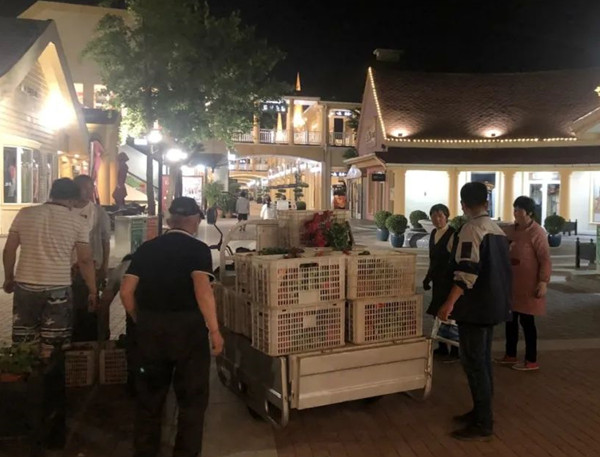 ballbet������(�й�)����ɭ����