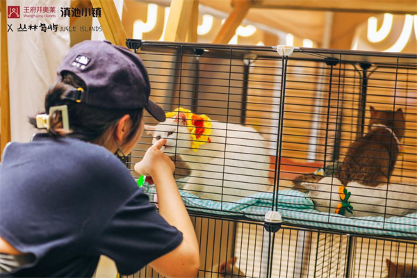 ballbet������(�й�)����ɭ����