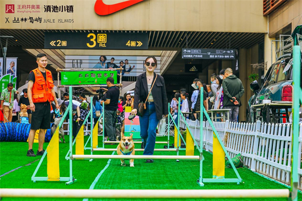 ballbet������(�й�)����ɭ����