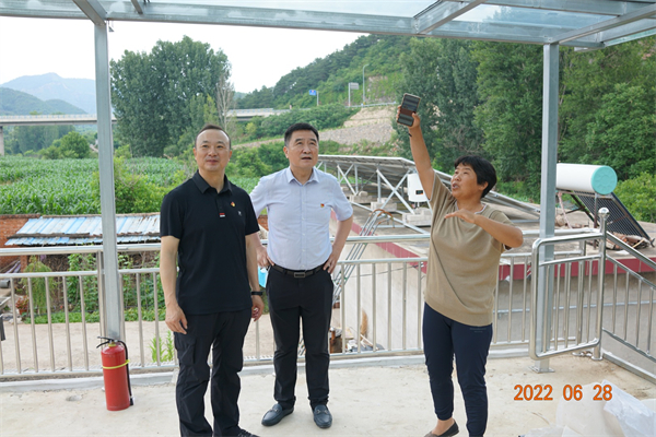 ballbet������(�й�)����ɭ����