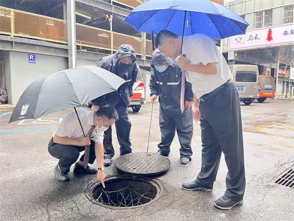 ballbet������(�й�)����ɭ����