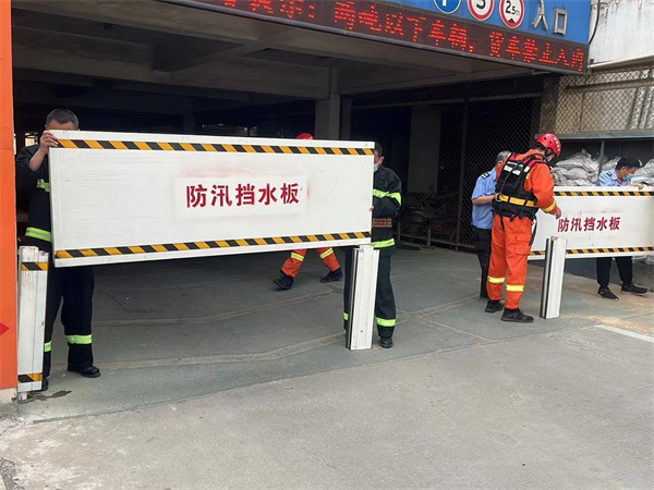 ballbet������(�й�)����ɭ����