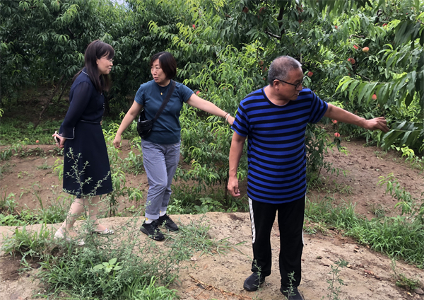 ballbet������(�й�)����ɭ����